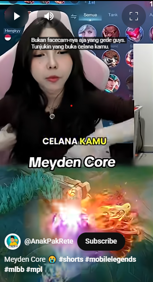 BTR Meyden